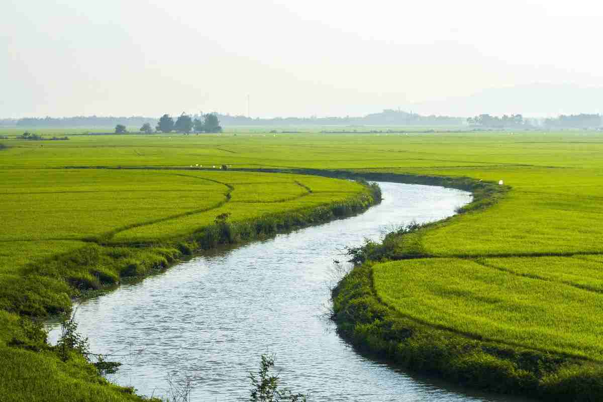 camminata lungo il fiume ricchezza